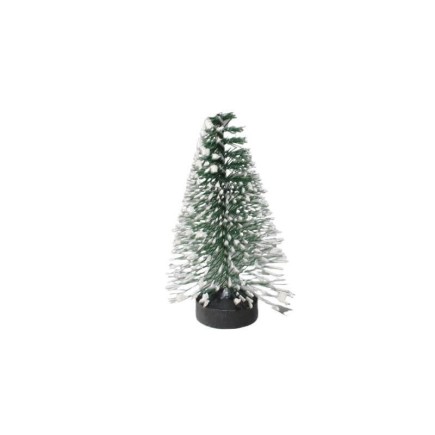 Miniature pine