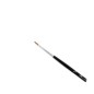 Spatulated Synthetic Brushes Spatulated Synthetic Brushes