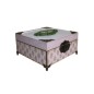 Box decorated with dividers Box decorated with dividers